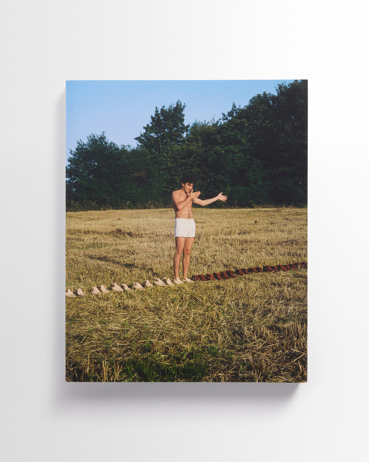 DISCOVER THE BOOK