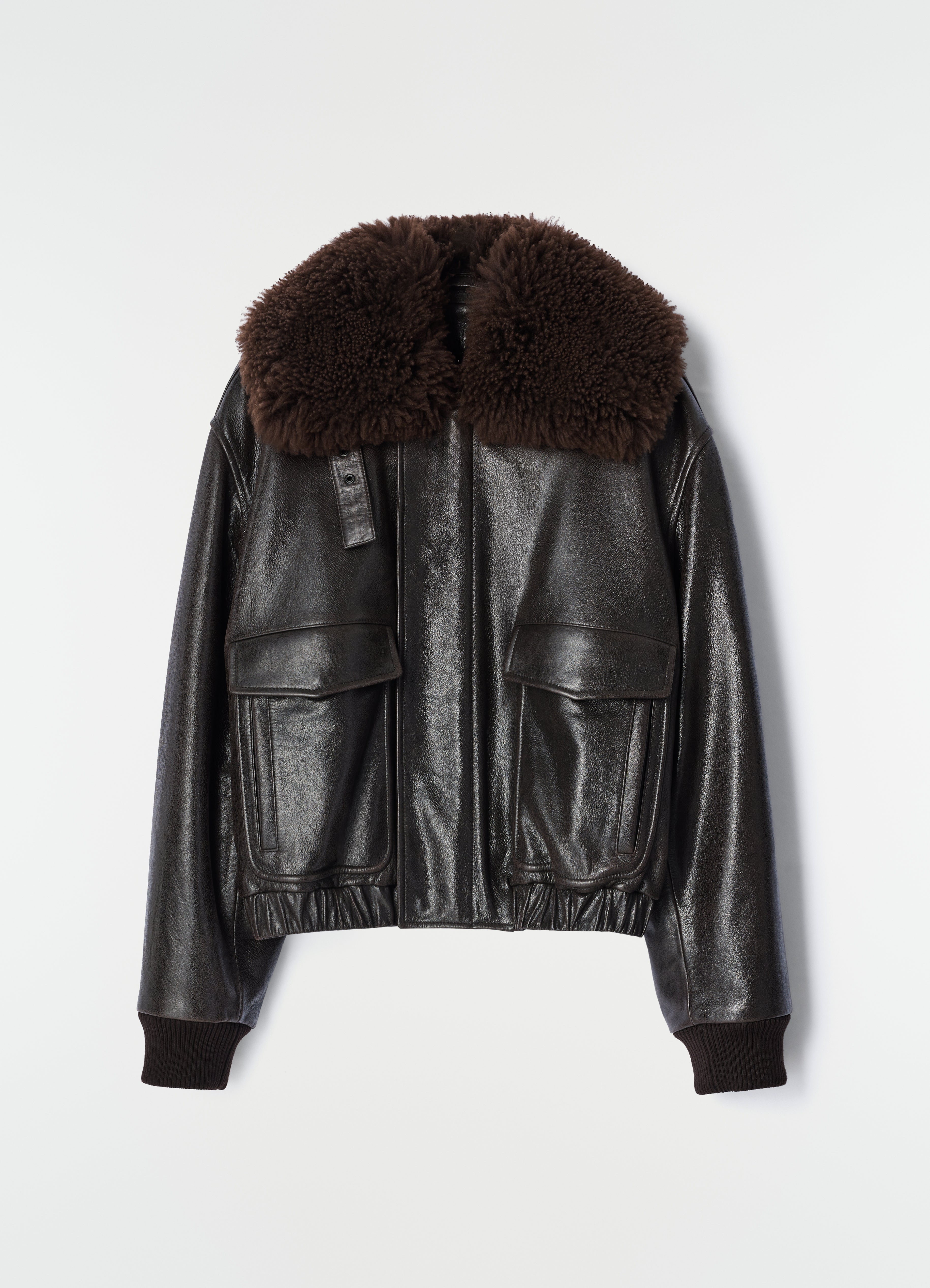 AVIATOR BLOUSON IN SHINY LEATHER - Ebony - Shiny cow leather
