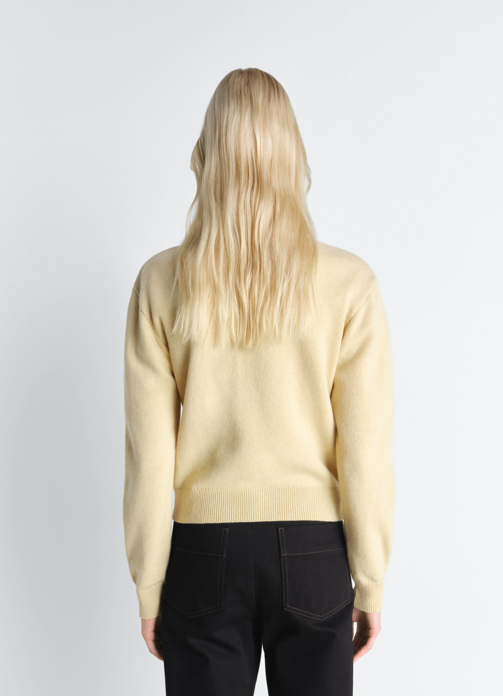 Lemaire reversible buttoned sweater in cashmere wool, model shot, back view ribbed back hem