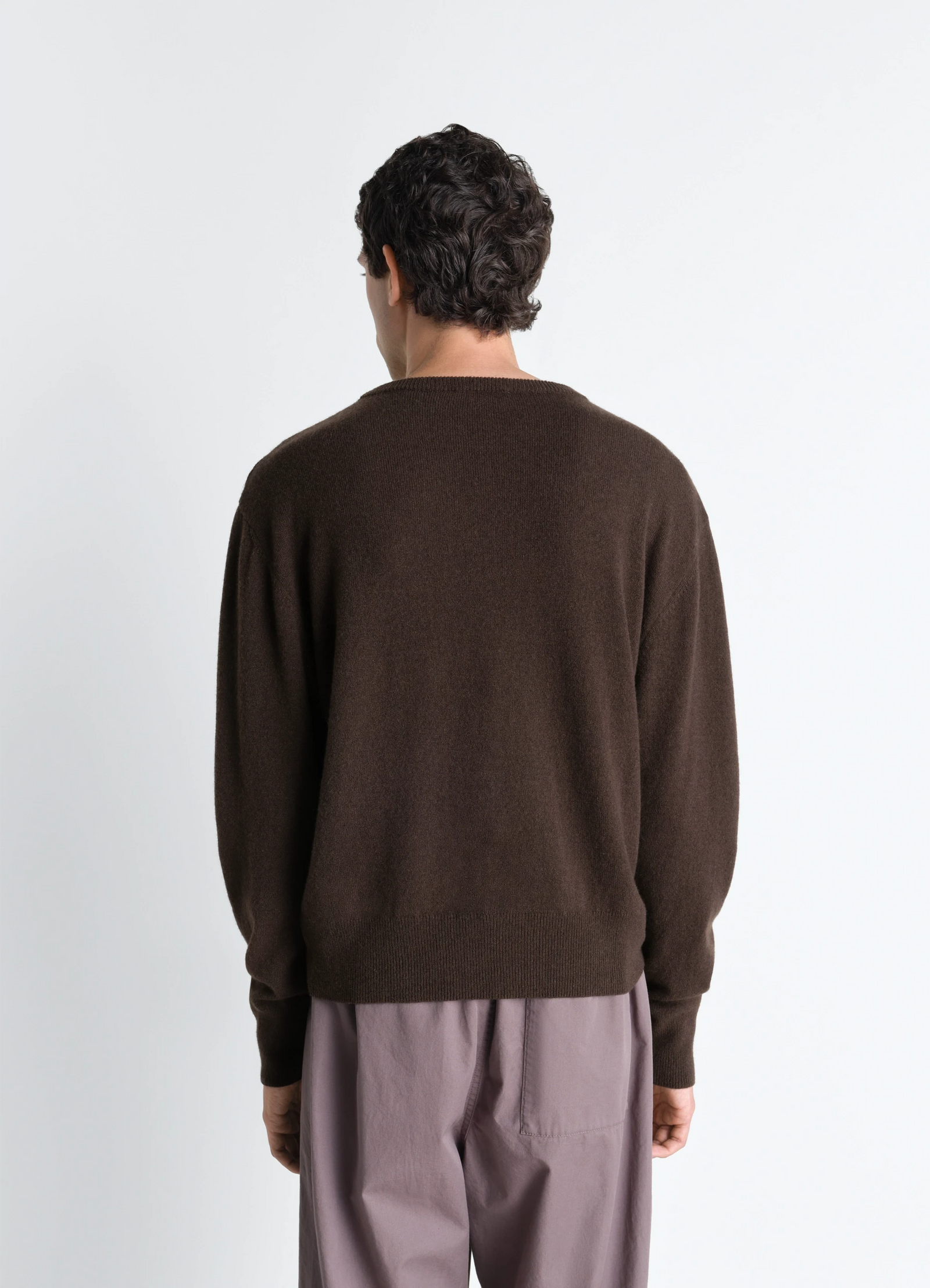 Lemaire crew neck sweater in cashmere wool brown, model shot, back view unisex relaxed fit