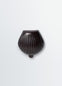 CARLOS SHELL COIN PURSE