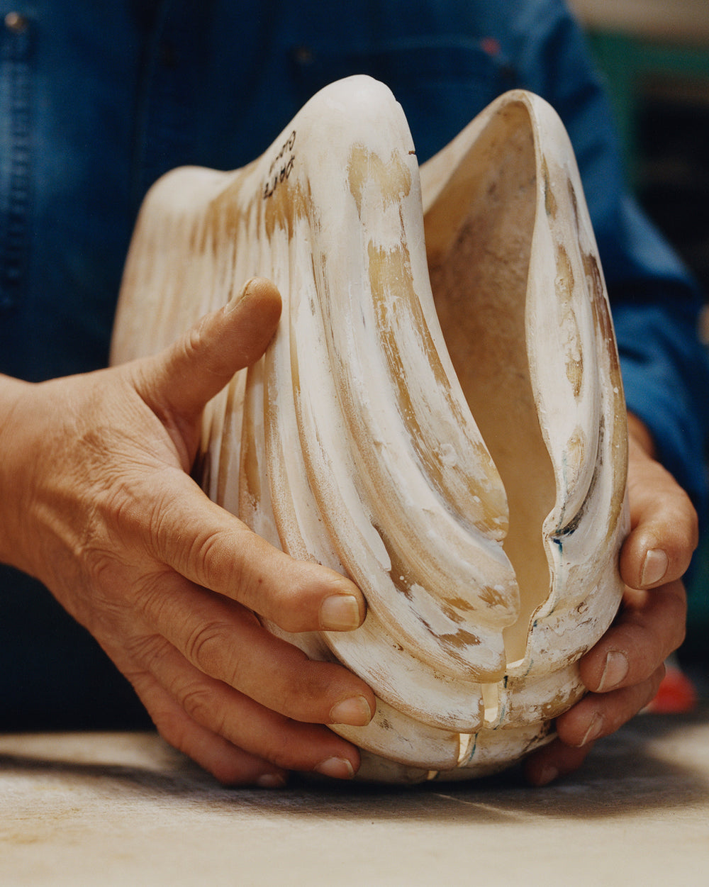 Decorative shell sculpture in White and beige ceramic, Side detail view Naturalistic design